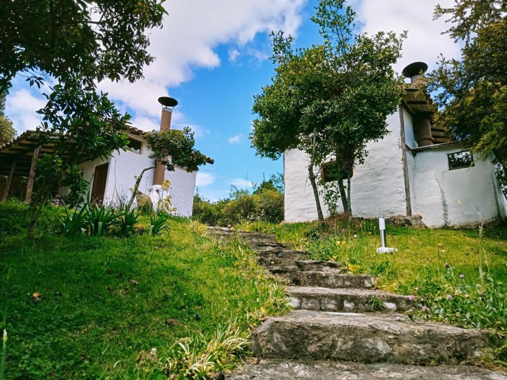 Jardin Colibri Rnt 33633 Villa Guatavita Exteriör bild