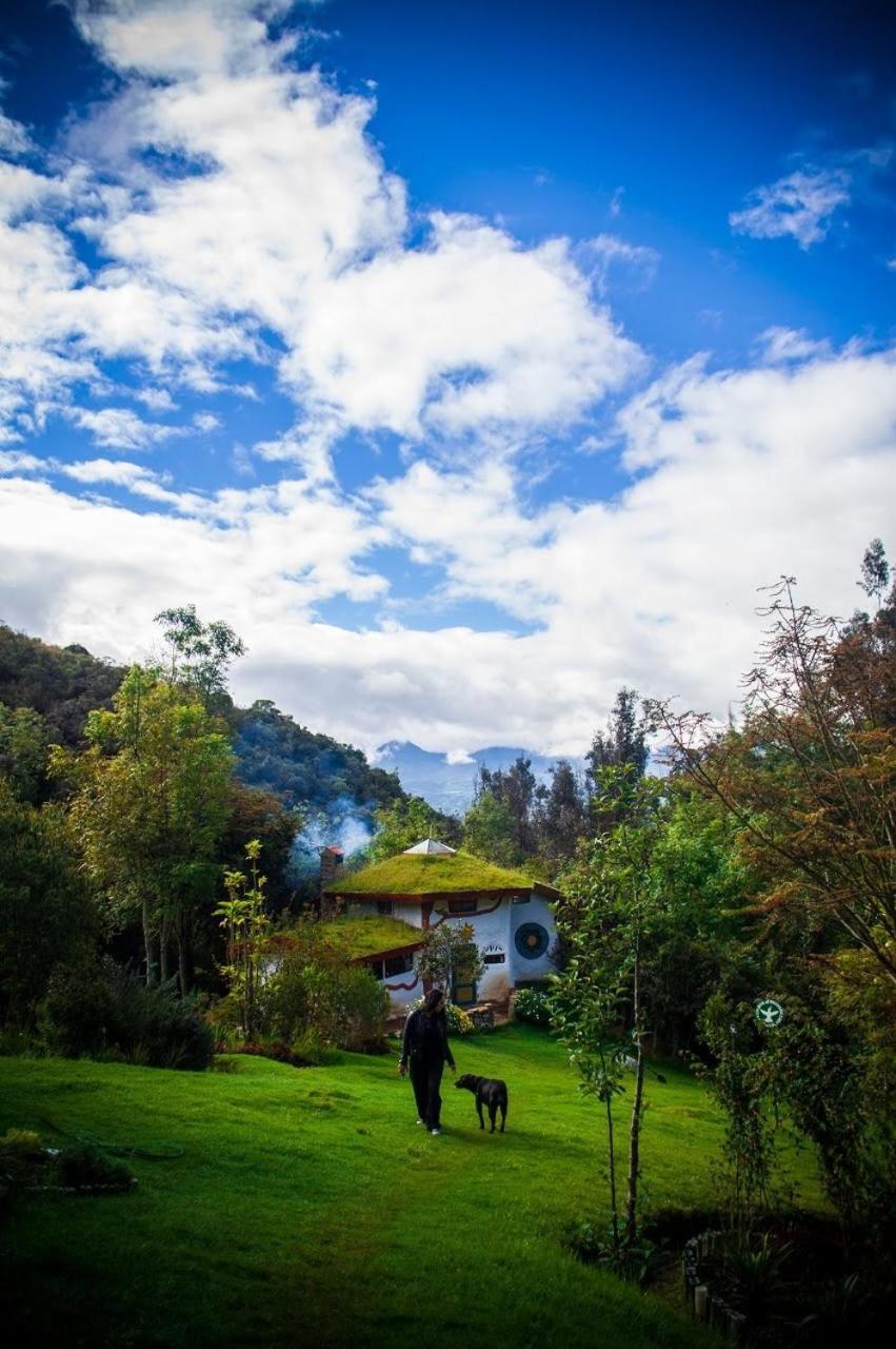 Jardin Colibri Rnt 33633 Villa Guatavita Exteriör bild