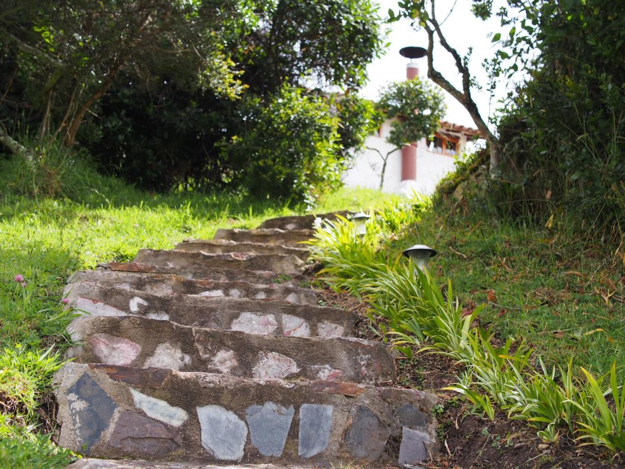 Jardin Colibri Rnt 33633 Villa Guatavita Exteriör bild