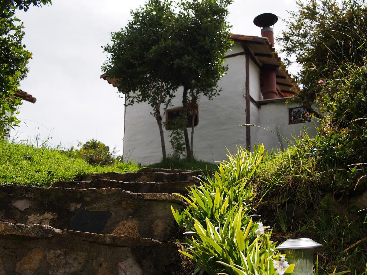 Jardin Colibri Rnt 33633 Villa Guatavita Exteriör bild